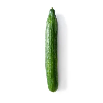 Cucumber  (41)-6693804-94144.webp